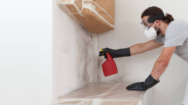 Professional Black Mold Remediation technician working in Glenwood Landing, NY